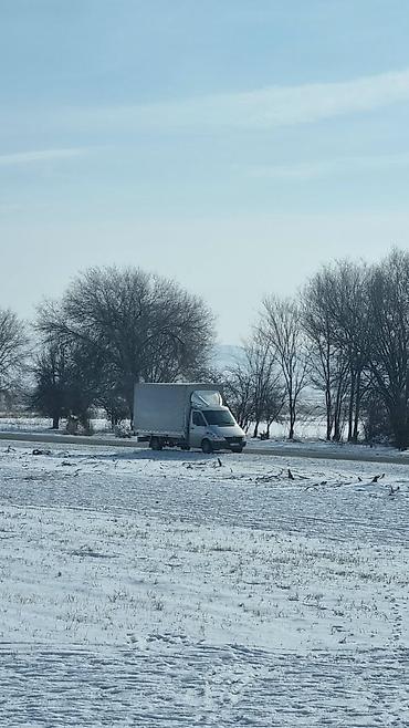 sprinter 412: Грузоперевозки тентованным Mercedes-Benz Sprinter обиом 2.7 - Тип — 6