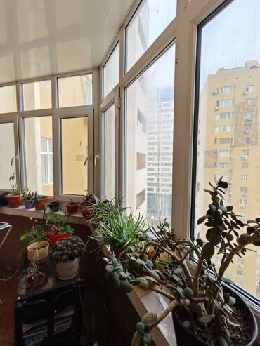 Yeni tikili: 2 otaqlı, Yeni tikili, m. Xətai, 65 kv. m -da lalafo.az — 12 Yeni tikili: 2 otaqlı, Yeni tikili, m. Xətai, 65 kv. m — 12