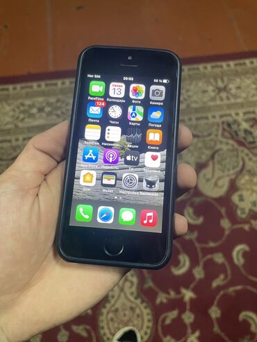 apple iphone 5s 32: IPhone SE, 32 ГБ, Черный, Чехол, 100 %