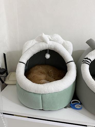 Домики для кошек б/у