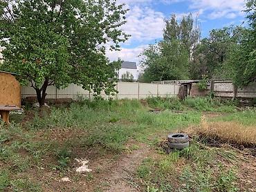 50: Участок с домом в с. Новопавловка Адрес: с. Новопавловка, в 150 м от — 5