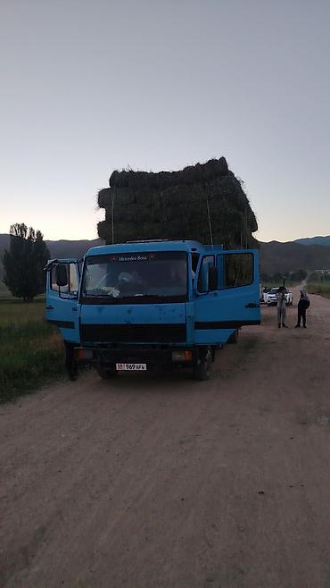 daf 430: Грузовик, Mercedes-Benz, Дубль, 7 т, Б/у — 10