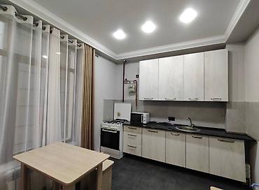 home: 1 комната, 43 м², Филармония Элитка, 9 этаж, Дизайнерский ремонт — 3
