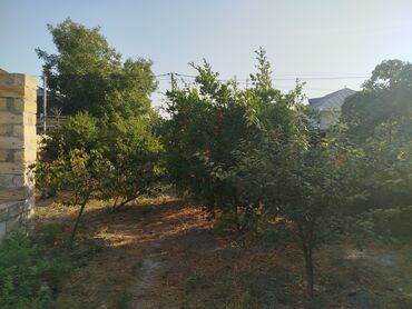 объявления о продаже земельных участков: 3 соток, Для строительства, Собственник, Купчая