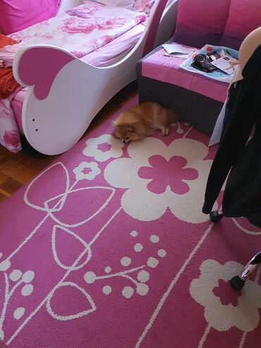 Kreveti za decu: Krevet za princeze, koriscen, fantastican, ocuvan, dve manje — 9