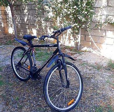Велосипеды: Challenger Agent dağ velosipedi - Çərçivə: polad, 26" təkər ölçüsü — 1