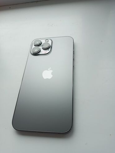 Apple iPhone: IPhone 13 Pro Max, Б/у, 256 ГБ, Graphite, Защитное стекло, Чехол, 87 %