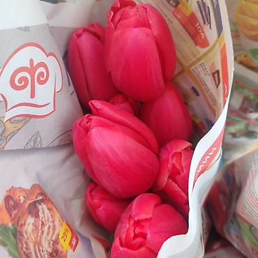 Букеты из живых цветов: Открыта бронь на тюльпаны оптом и розницу 2026 года к 8 марта — 11