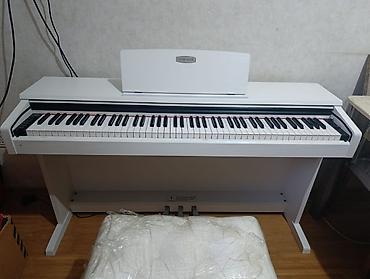 ronisch piano: Pearl River v 03 elektro pianosu. Akustik piano səsinə çox yaxın səs — 3