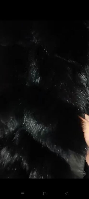 Kürklər: Biset temiz tulku. tuku mexli son qiymet 200 man L S. M — 17