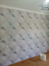 Təmir işləri: Təcrübəli Şpaplovka, Aboy, Emulsiya, Paduqa ustası Peşəkar daxili