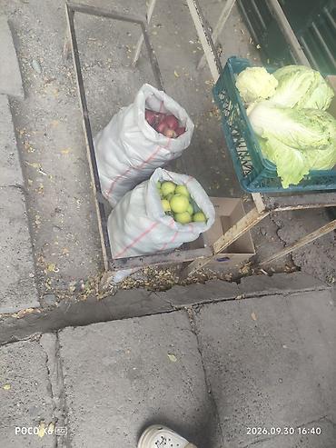Другие фрукты: Яблоки Оптом — 10