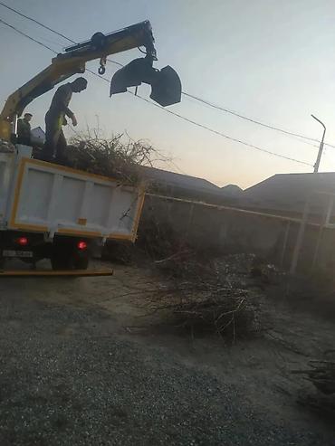 Уборка территории: Уборка территории, Уборка двора и сада — 10