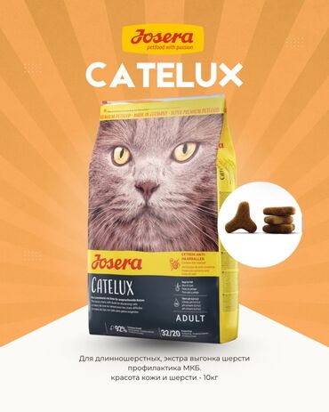 разные породы кошек: Сухой корм для кошек Josera Catelux Adult, 10 кг. Основные