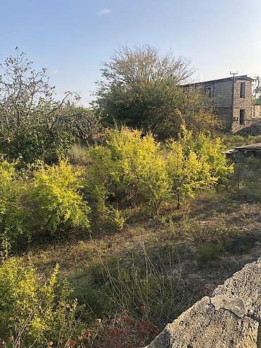 Torpaq sahələrinin satışı: 12 sot, Tikinti, Kupça (Çıxarış), Texniki pasport -da lalafo.az — 7 Torpaq sahələrinin satışı: 12 sot, Tikinti, Kupça (Çıxarış), Texniki pasport — 7