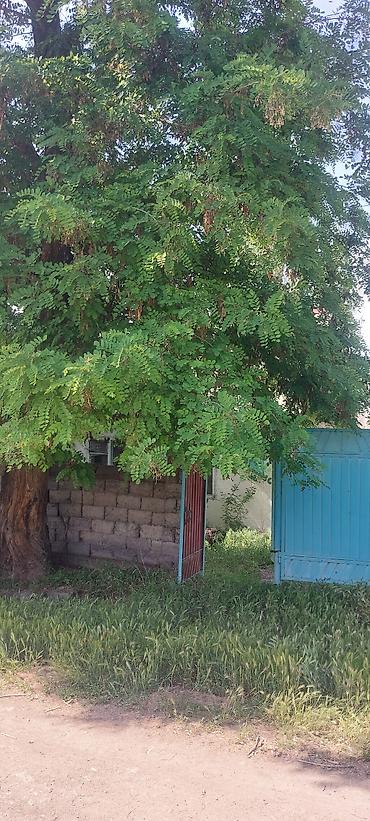 грин лэнд: Дом с участком рядом с городом. Село Туз, Иссык Атинский район, от — 1