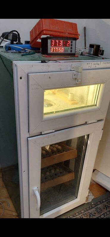 inqibatorlar: Incubator 150 ədədiy avtomatik