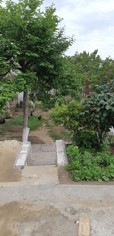 Bağ evlərinin satışı: Bakı, Günəşli, 110 kv. m, 4 otaqlı, Hovuzsuz, Kombi, Qaz, İşıq