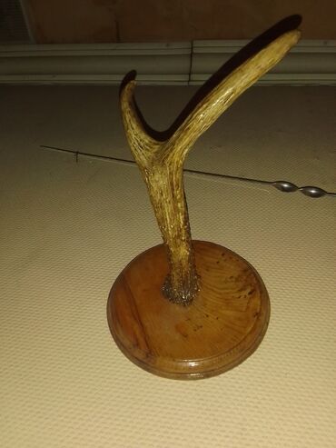 Natural maral buynuzu