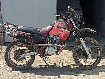 Мотоциклы: Эндуро Yamaha, 250 куб. см, Бензин, Взрослый, Б/у — 1