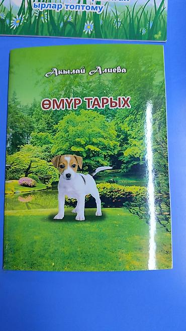 ани лорак: Сборники стихов Акылай Алиевой (на киргизском языке) - Оригинальные — 6