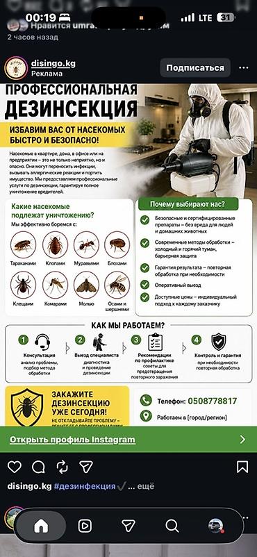 Профессиональная дезинсекция помещений от насекомых. Услуга подходит