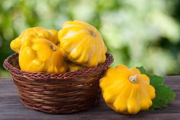 деревянный обеденный стол раздвижной: Куплю патисоны! 
не дорого и не большие 
тел
