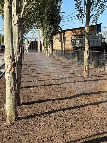 Установка другой техники: Автополив «под ключ» для газонов, клумб, садов и огородов. Что — 25