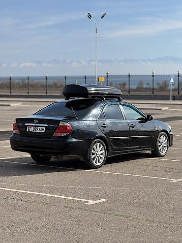 Toyota: Toyota Camry: 2004 г., 2.4 л, Автомат, Газ, Седан — 2