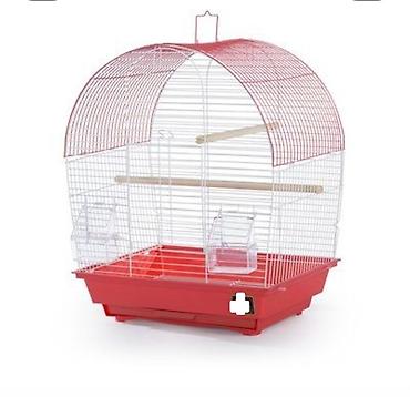 Tutuquşları: SUPER PAPUQAY DƏSTİ 🦜cemi 45 azn ✨ Hamısı bir yerdə – ideal başlanğıc — 5