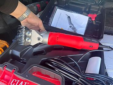 Товары и оборудование для с/х животных: Барана стрижки Большой выбор Бесплатная доставка по городу 🚚 — 17