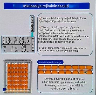 Зоотовары: Tam avtomatik inkubator / su və yem qabı daxil./Göy-1əd.yaşıl 1əd — 8