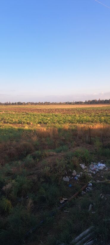 zabrat 1 torpaq: Biznes üçün, Mülkiyyətçi, Kupça (Çıxarış)