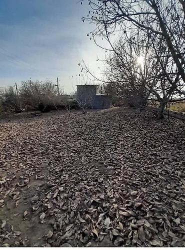 Продажа участков: 18 соток, Для бизнеса — 7