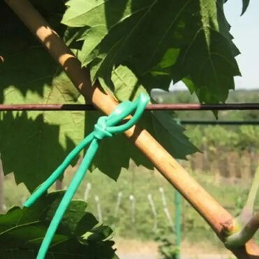 Bağ və bostan üçün digər məhsullar: ✅ Aqrotel, ✅ Kembrik ✅ Rezin İp İstifadə: Ağac Tingləri, Meyvə — 2