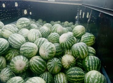 кухонный стол и стулья купить недорого: Арбузы В розницу, Самовывоз, Бесплатная доставка, Платная доставка