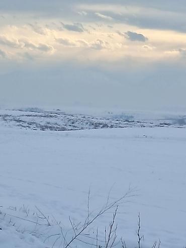 Продажа участков: 20 соток, Для сельского хозяйства, Красная книга, Тех паспорт — 2