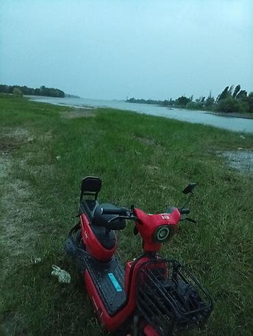 скутера цена: Электроскутер (красный), городская модель с удобной посадкой и — 4