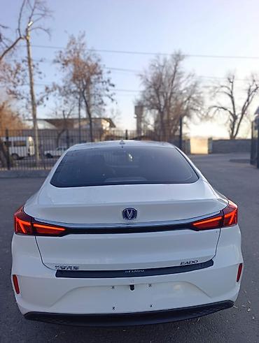 Changan: Changan Eado: 2022 г., Автомат, Электромобиль, Седан — 6