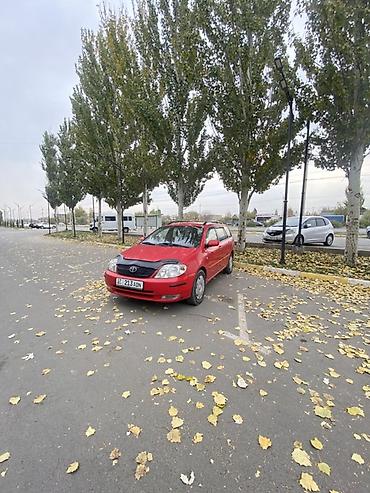 Toyota: Toyota Corolla: 2003 г., 2 л, Механика, Дизель, Универсал — 21