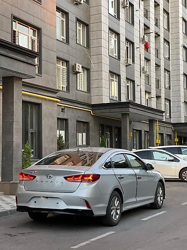 sonata машина: Hyundai Sonata: 2019 г., 2 л, Автомат, Газ, Седан — 3