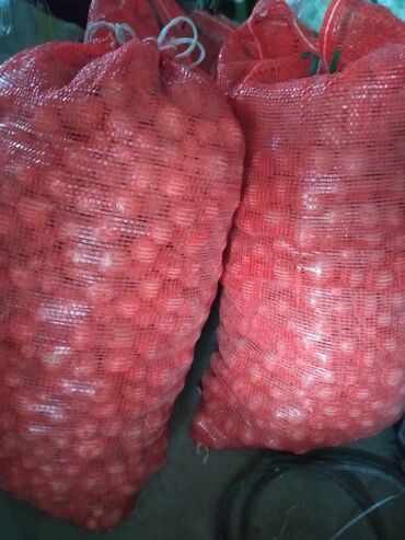 корм форели: Картофель мелкий для корма животным