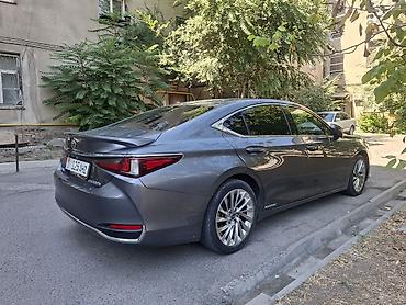 leopard 3: Lexus ES: 2020 г., 2.5 л, Автомат, Гибрид — 2