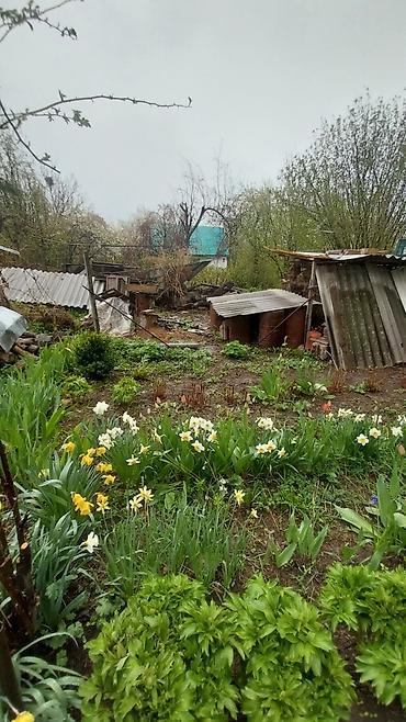 Продажа дач: Срочно продаю ДАЧУ, с.Арашан, ул.Тепловик, участок 5 соток, на участке — 1