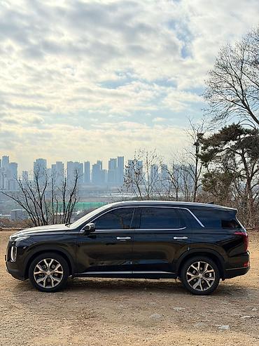 Hyundai: Hyundai Palisade: 2019 г., 2.2 л, Автомат, Дизель, Внедорожник — 6