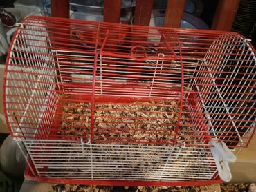 Qəfəslər: Xamyak ucun Qefes satilir qiyməti 25 azn bashqa qefeslerde var -da lalafo.az — 7 Qəfəslər: Xamyak ucun Qefes satilir qiyməti 25 azn bashqa qefeslerde var — 7