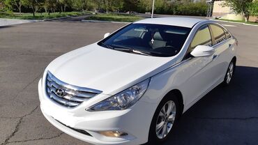 toyota camry 45 кузов: Куплю сонату этого кузова в хорошем состоянии до 500К