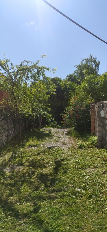Bağ evlərinin kirayəsi: 200 kv. m, 3 otaqlı, Hovuzsuz, Artezian quyusu, Telefon, Qaz — 14