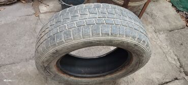 шина с дисками: Шины 195 / 65 / R 15, Зима, Б/у, 1 шт, Легковые, Япония, Dunlop
