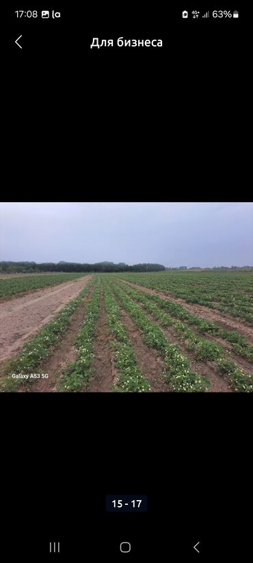 Продажа участков: 230 соток — 9